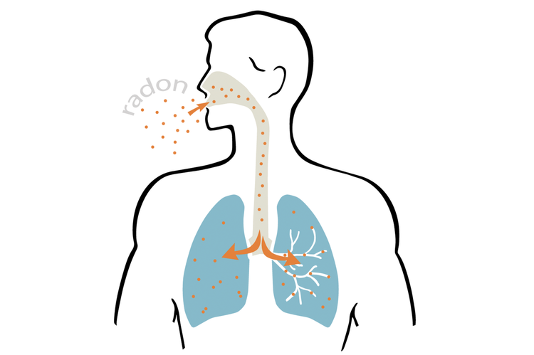 graphic lung inhalation